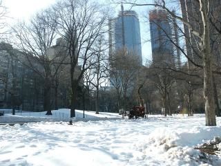 Nieve paraliza Nueva York y otras ciudades del este norteamericano