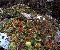 La cantidad de alimento arrojado a la basura per cápita en Europa y Norteamérica alcanza anualmente los 95 y 115 kilogramos