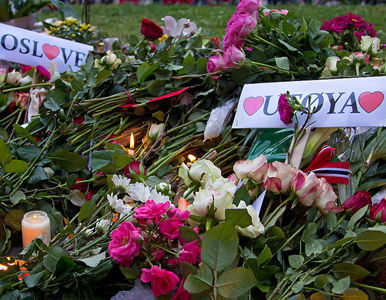 Flores contra balas. Foto: www.flickr.com / Exelcius