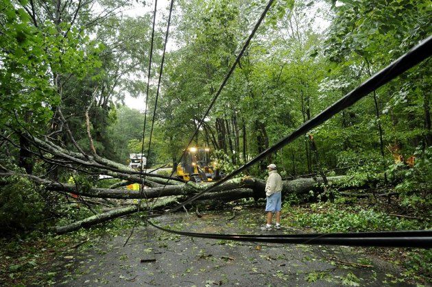 Un habitante de Gover Road, en Millbury, Massachusetts, observa a las cuadrillas de trabajadores retirar un árbol derribado tras el paso de la tormenta tropical Irene, el domingo 28 de agosto de 2011. Los fuertes vientos derribaron árboles y cables de energía eléctrica en todo el estado. (Foto AP/Worcester Telegram & Gazette, Paul Kapteyn)