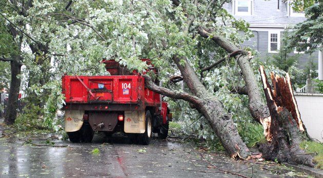 Un camión de la ciudad de Providence fue golpeado por un árbol que fue derribado por el huracán Irene en Rhode Island EE.UU. el domingo 28 de agosto de 2011. (Foto AP/Stew Milne)