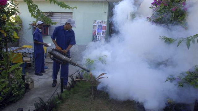 Se sugirió persistir en el enfrentamiento al mosquito Aedes aegypti, principal trasmisor del dengue, y serecordó que se pueden multar a los violadores de la higiene con cuotas desde 100 hasta mil pesos cubanos. Foto: AIN