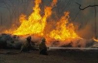 Bomberos luchan para tratar de controlar un incendio forestal cerca de la autopista 71, cerca de Smithville, Texas, el lunes 5 de septiembre de 2011. Foto: AP/Erich Schlegel