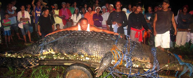 El alcalde de Agusan del Sur Provincia de Filipinas, posa con un enorme cocodrilo que fue capturado por los residentes y el personal de la granja de cocodrilos en Domingo, 04 de septiembre 2011