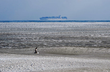 En Rumania, donde reinan temperaturas de 32 grados bajo cero, se congelaron partes del Mar Negro.  Foto: AFP