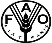 FAO advierte sobre peligro de hambruna en Sudán del Sur