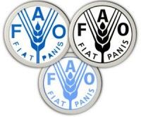 FAO reporta alza en precios de alimentos