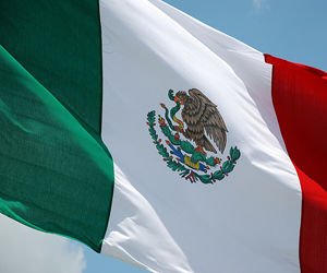 Presidente mexicano llama a EE.UU. a detener tráfico de armas 