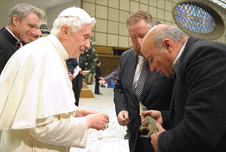 Papa Benedicto XVI observa el cocodrilo cubano