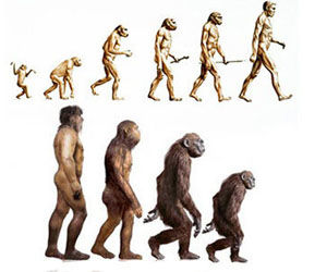 ¿Evolución o involución?: hallazgos de científicos rusos cuestionan la teoría de Darwin