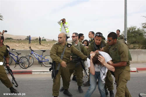Violencia de alto oficial israelí contra activistas del Movimiento de Solidaridad con Palestina
