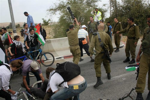 Violencia de alto oficial israelí contra activistas del Movimiento de Solidaridad con Palestina