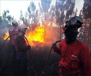Casi 8 mil bomberos luchan por extinguir el fuego en Portugal