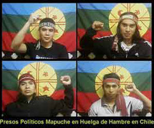 Mapuches en huelga de hambre llaman a recuperar tierras 
