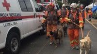 Rescatistas canadienses con binomios caninos previo a un ingreso al edificio derrumbado en Coquimbo, colonia Lindavista. Foto Guillermo Sologuren